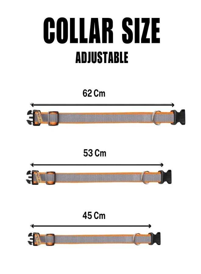 PET FUN طوق كلاب من النايلون فائق النعومة من بيت فن مع شريط عاكس للراديوم - قابل للتعديل، خفيف الوزن ومرن، مزود بإبزيم أمان سريع الفتح - طوق أساسي عالي الكثافة للجراء والسلالات الصغيرة (متوسط، 25 مم) - Image 4